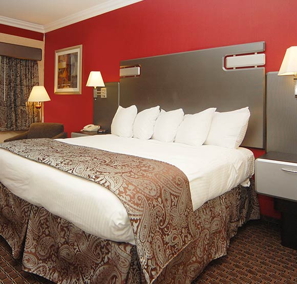 Queen Bed Room at SureStay Plus Santa Clara Silicon Valley Queen Bed Room at SureStay Plus Santa Clara Silicon Valley