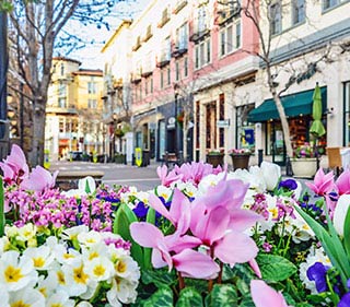 Santana Row in San Jose, California